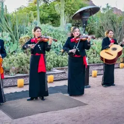 Mariachi / ranchera
