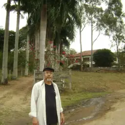 Pagode