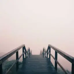 Српски поп